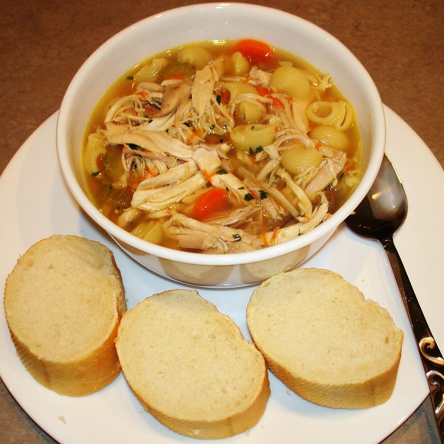 Sopa de pollo con fideos
